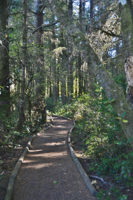 woodys walkway 